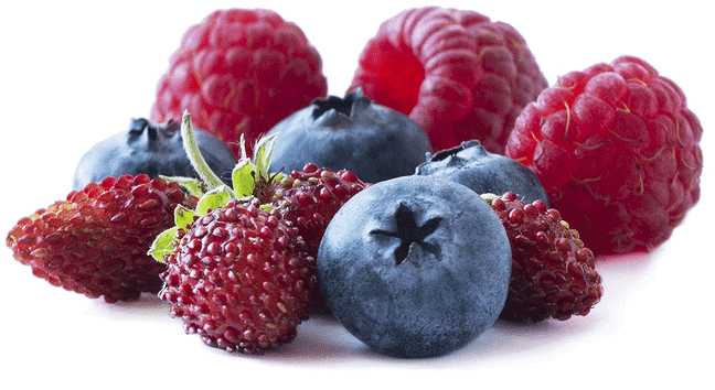 Heidelbeeren, Erdbeeren und Himbeeren - Obst mit wenigen Kohlenhydraten