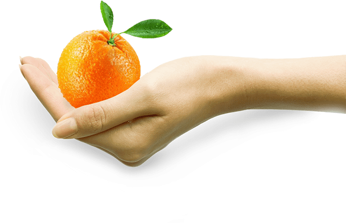Orange in Hand - Unser Fazit zu Obst und Kohlenhydraten